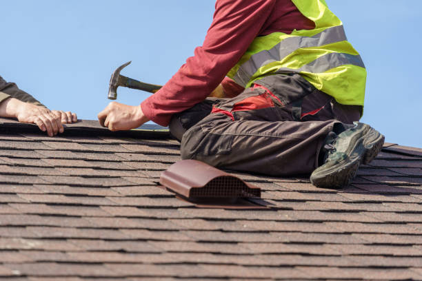 Best Roof Gutter Cleaning  in Thiells, NY